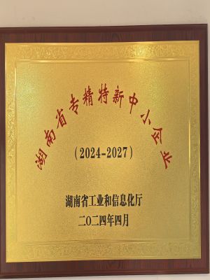 湖南省专精特新中小企业